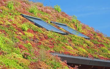 Clyst St George living roof systems